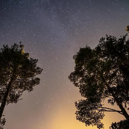 Rafi - The Village Of Silence Resort, Aurorahut Igloo