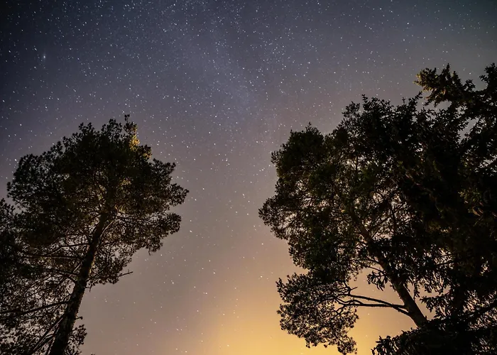 Rafi - The Village Of Silence Resort, Aurorahut Igloo